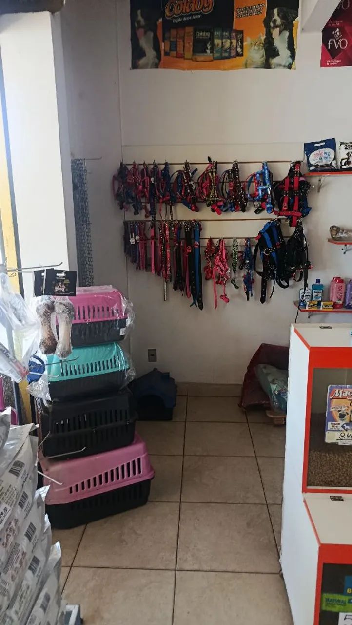 Pet shop a venda 