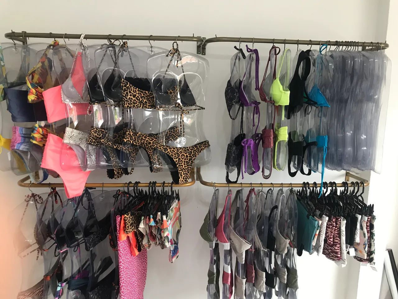 Arara dourada  - Foto 2