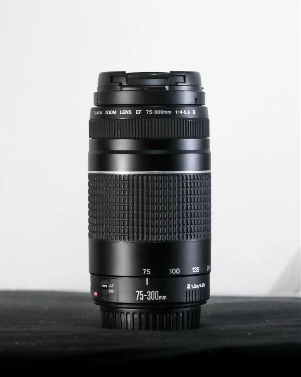 Lente Canon 75-300 Perfeito estado!!
