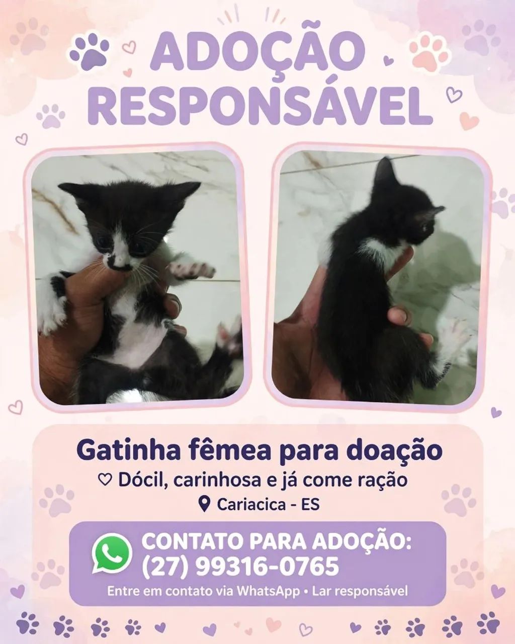 Doação responsável 