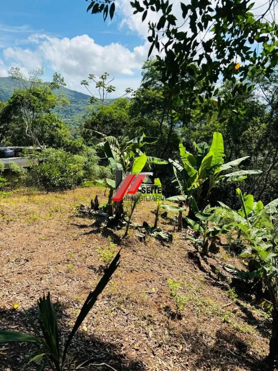 Terreno a venda Corrego grande - Foto 3