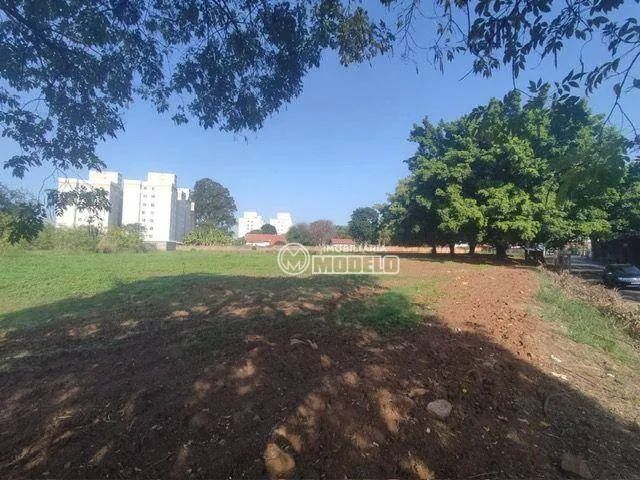 Terreno à venda, 3870 m² por R$ 1.550.000 - Dois Córregos - Piracicaba/SP - Foto 3
