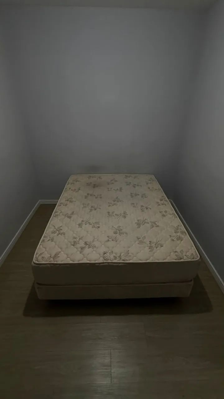 Cama Box Castor