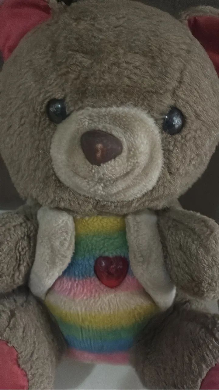 Urso - Foto 2