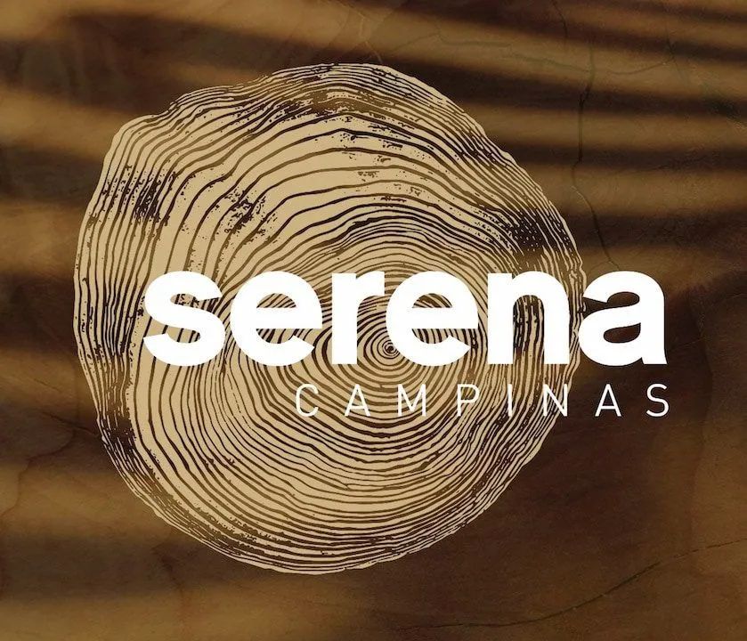 Terreno Serena Campinas - Foto 3