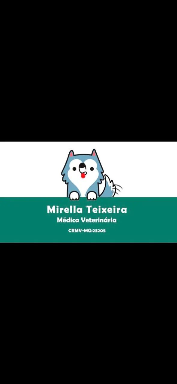 Atendimento Veterinário em Domicílio  - Foto 2