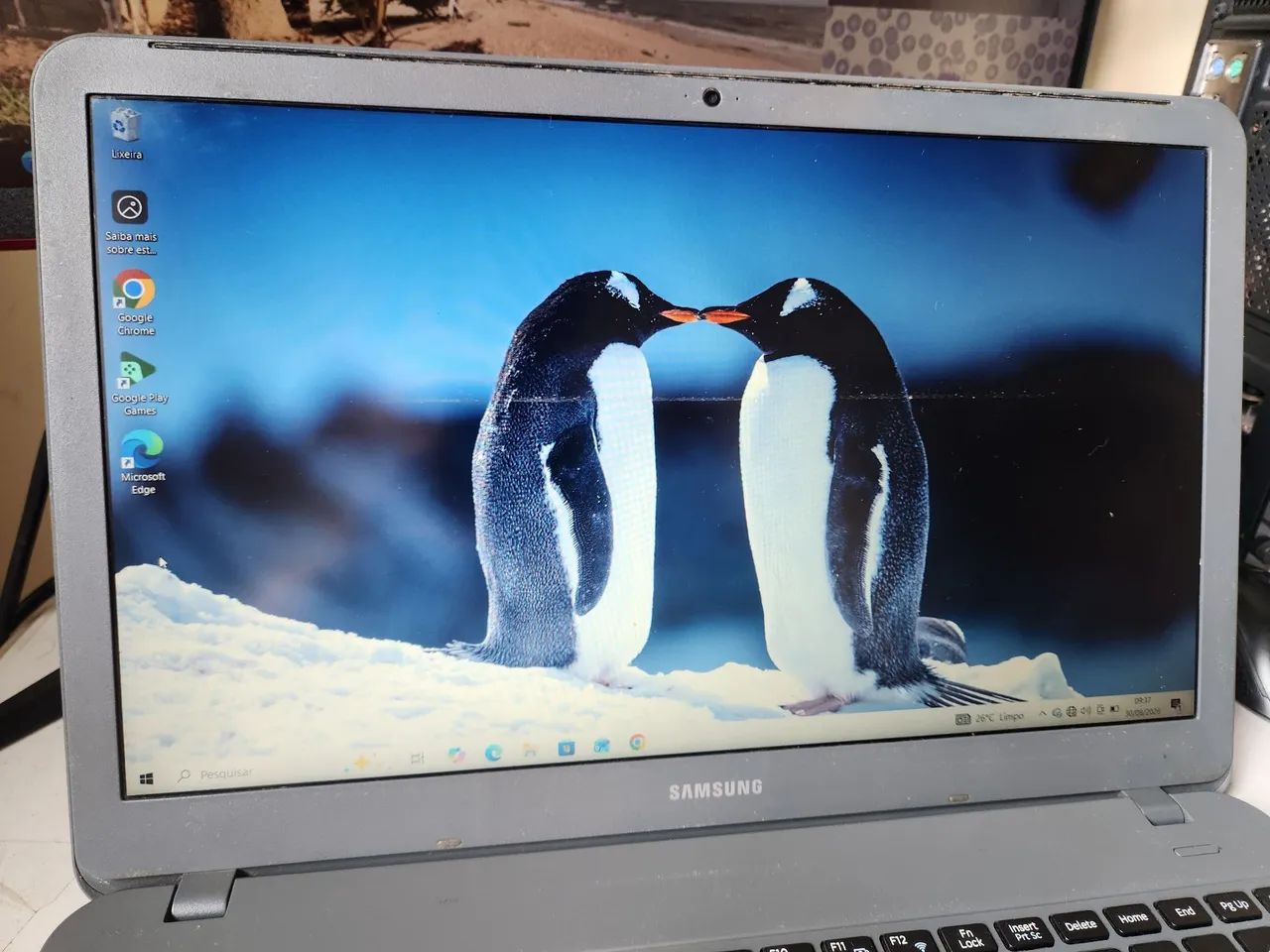 Notebook Samsung Essentials e30 | SSD 120GB | 4 GB RAM | Windows 11