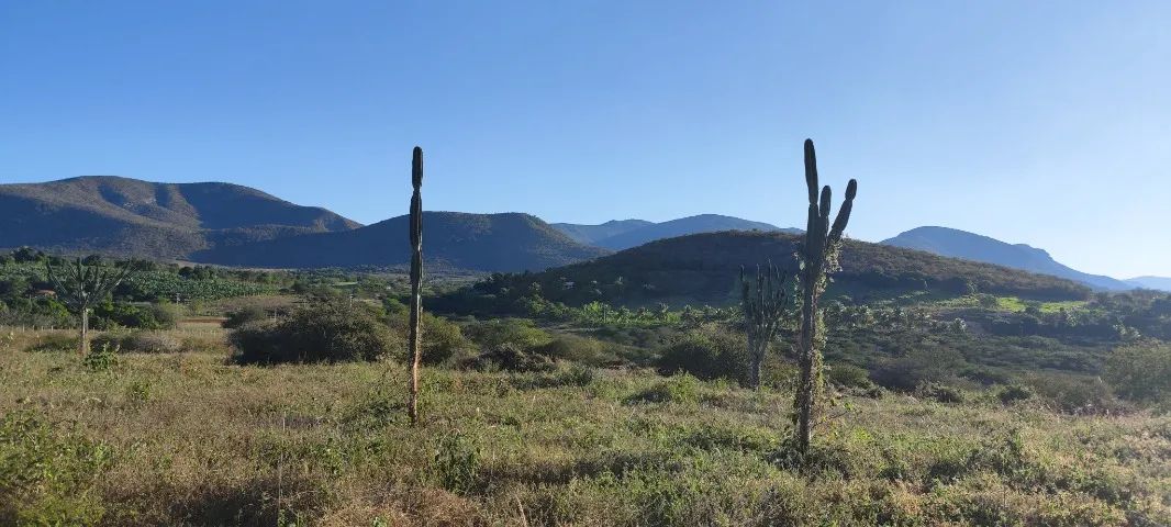 Terreno Chácara com 1.000m2 próximo ao centro de Jequié/BA - Foto 3