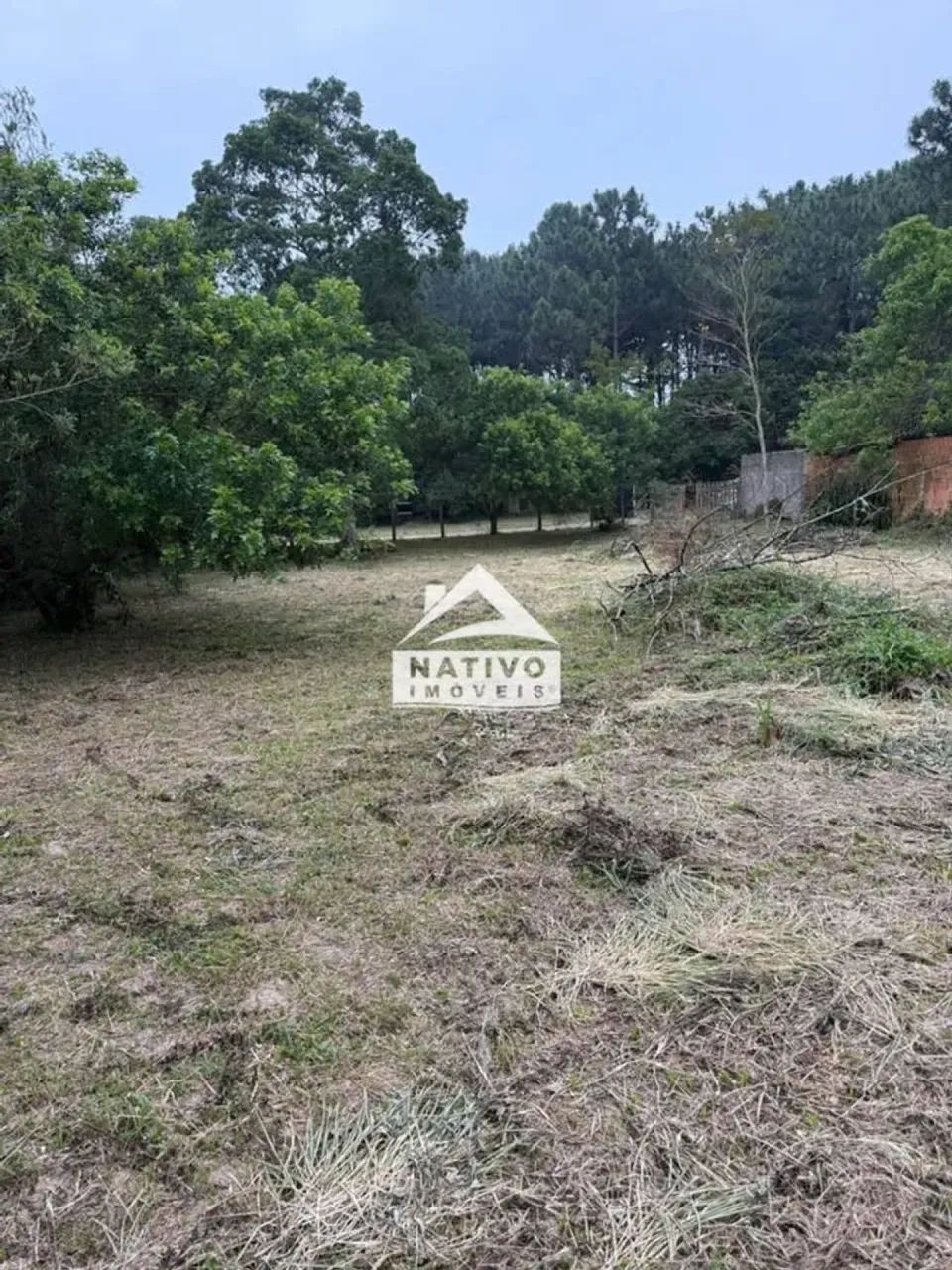 Terreno com 1.000 m² no Rio Vermelho Florianópolis