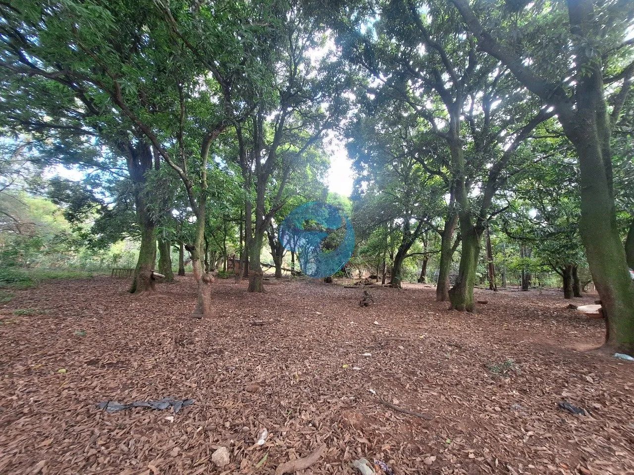 Área à venda em Sorocaba, no Bairro Ipatinga - Foto 5