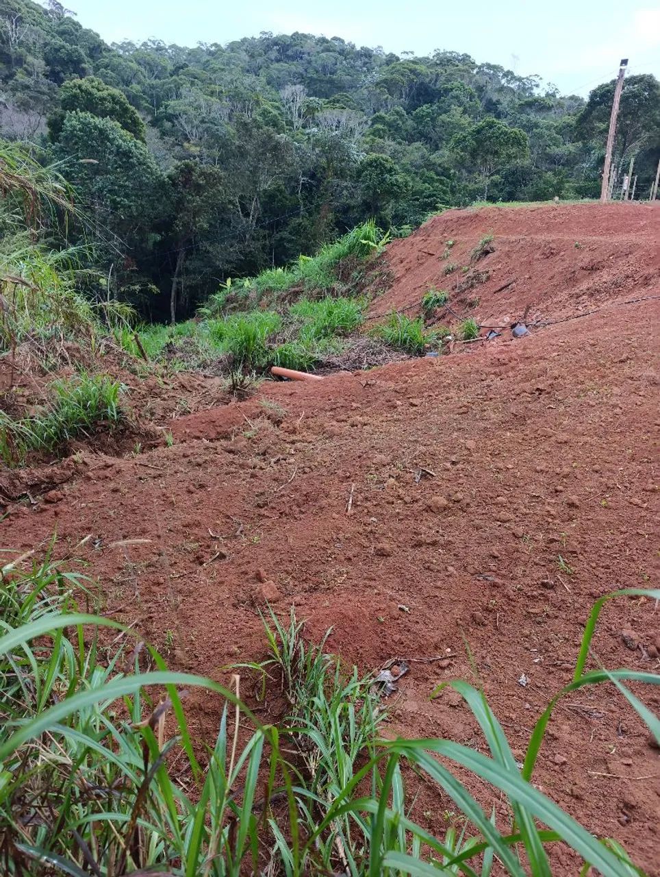 Sitio5.000m²comunida holandinha... - Foto 4
