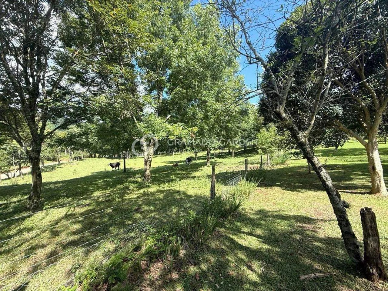 BEL ÍSSIMO SÍTIO NA LINHA 28 - Foto 2