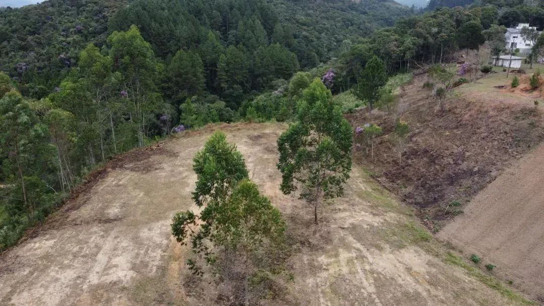 SÍTIO NA INVERNADA SC - Foto 5