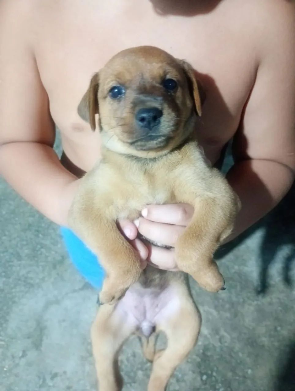 Doação responsável - Foto 5