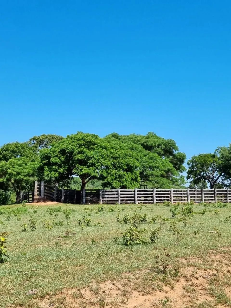 EXCELENTE FAZENDA A VENDA EM CÁCERES - Foto 3