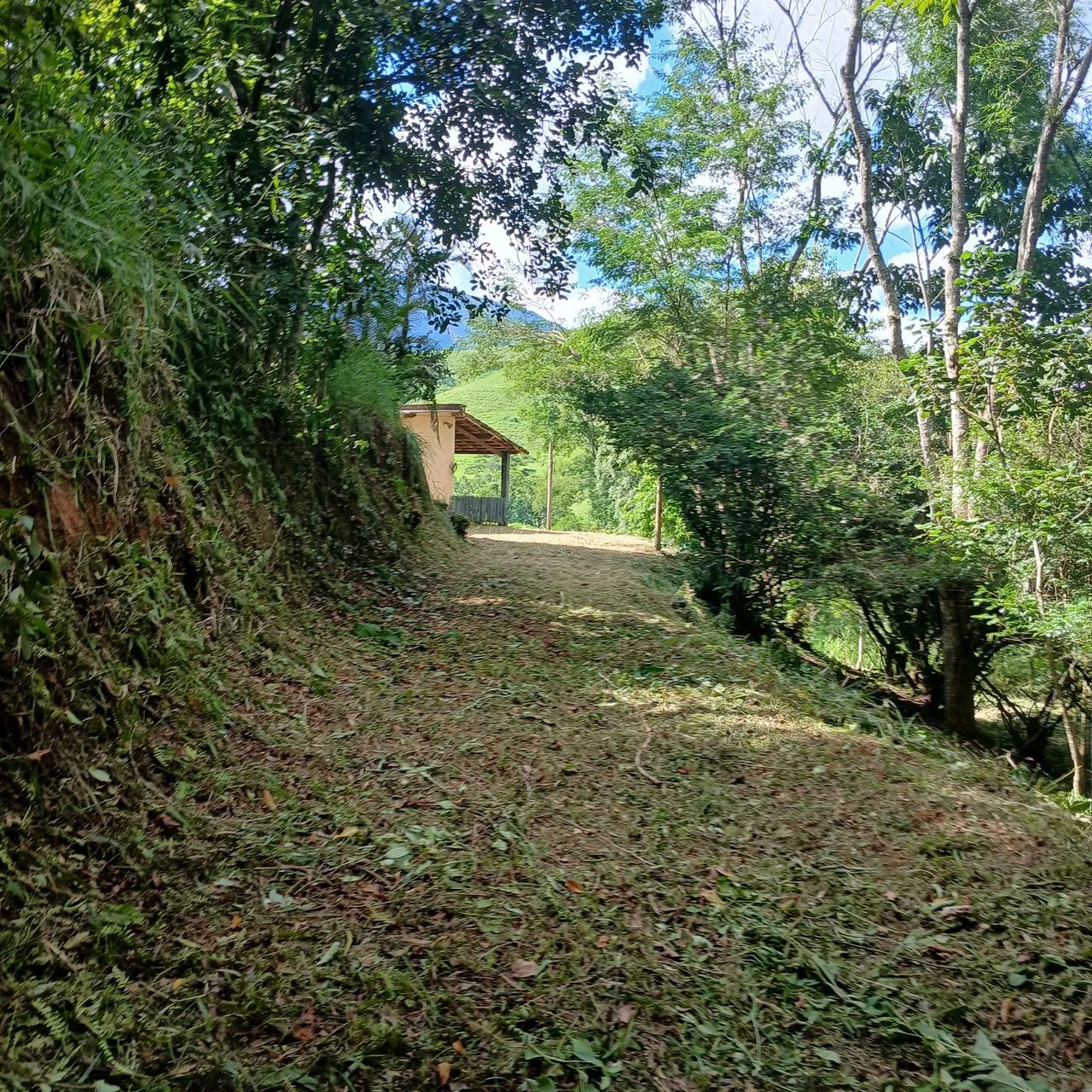 Sítio em  Rio Claro no distrito de Lidice. - Foto 3
