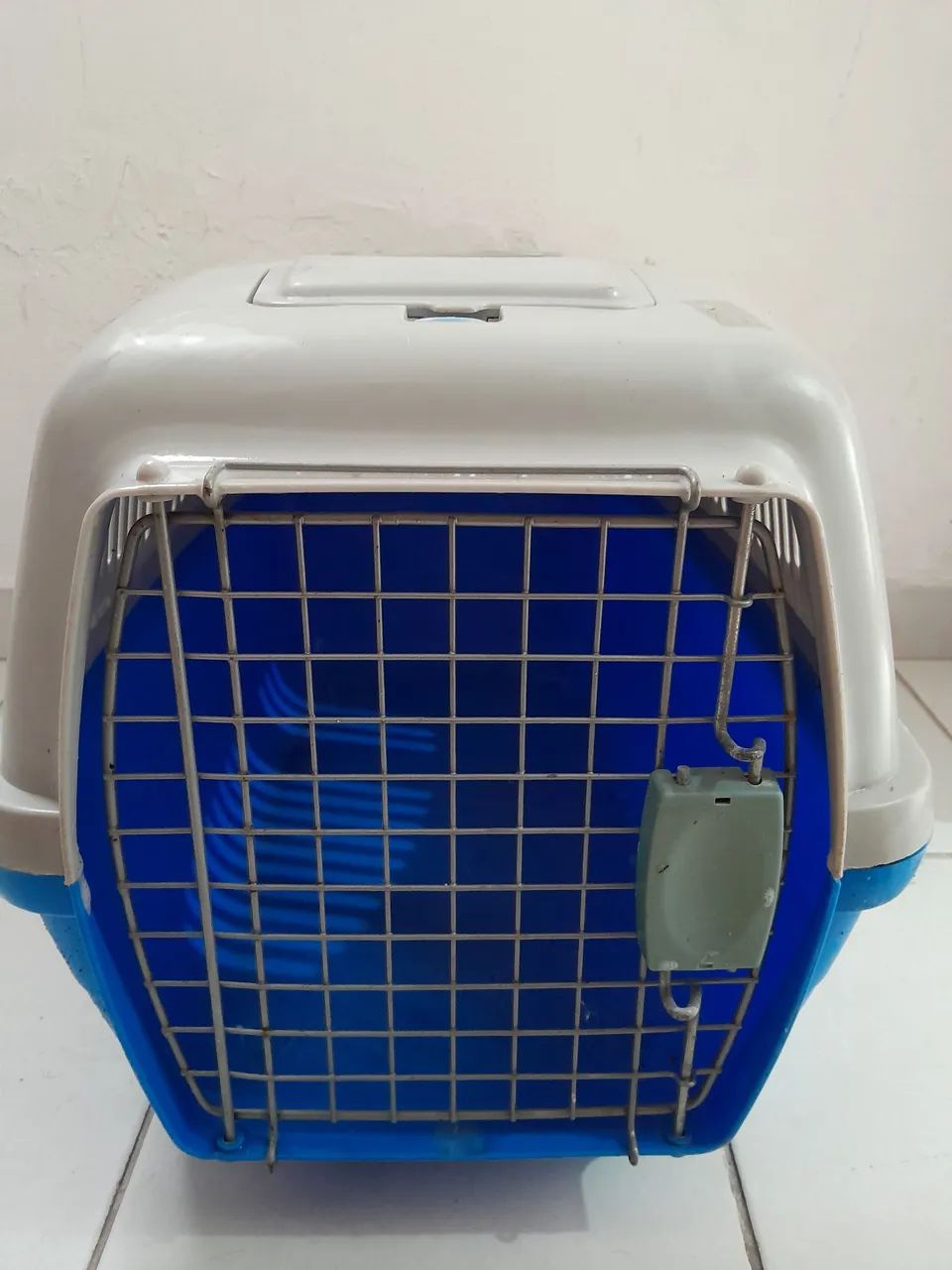 Caixa transporte (porte medio)