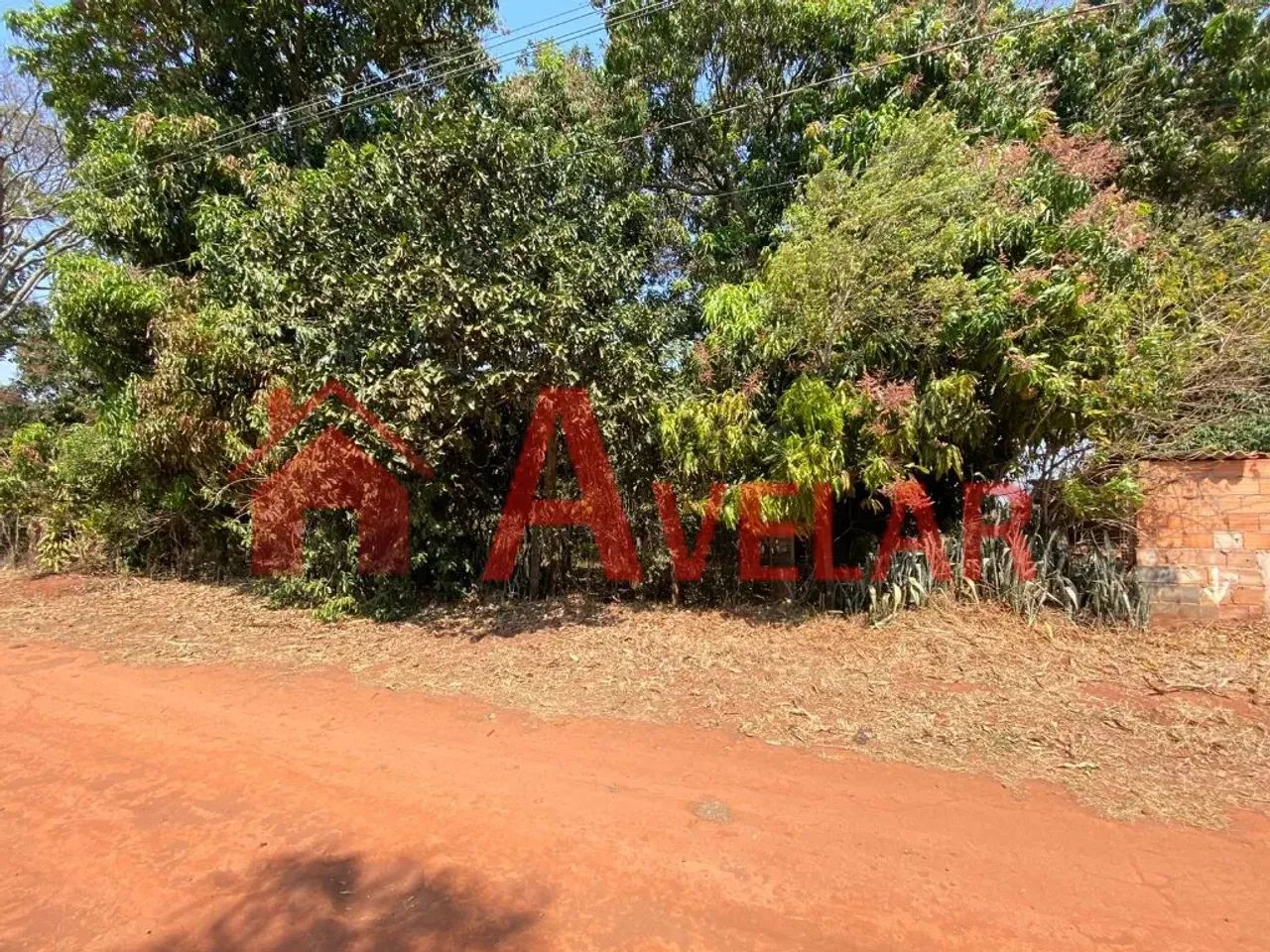 Terreno no Bairro Morada Nova - TE161