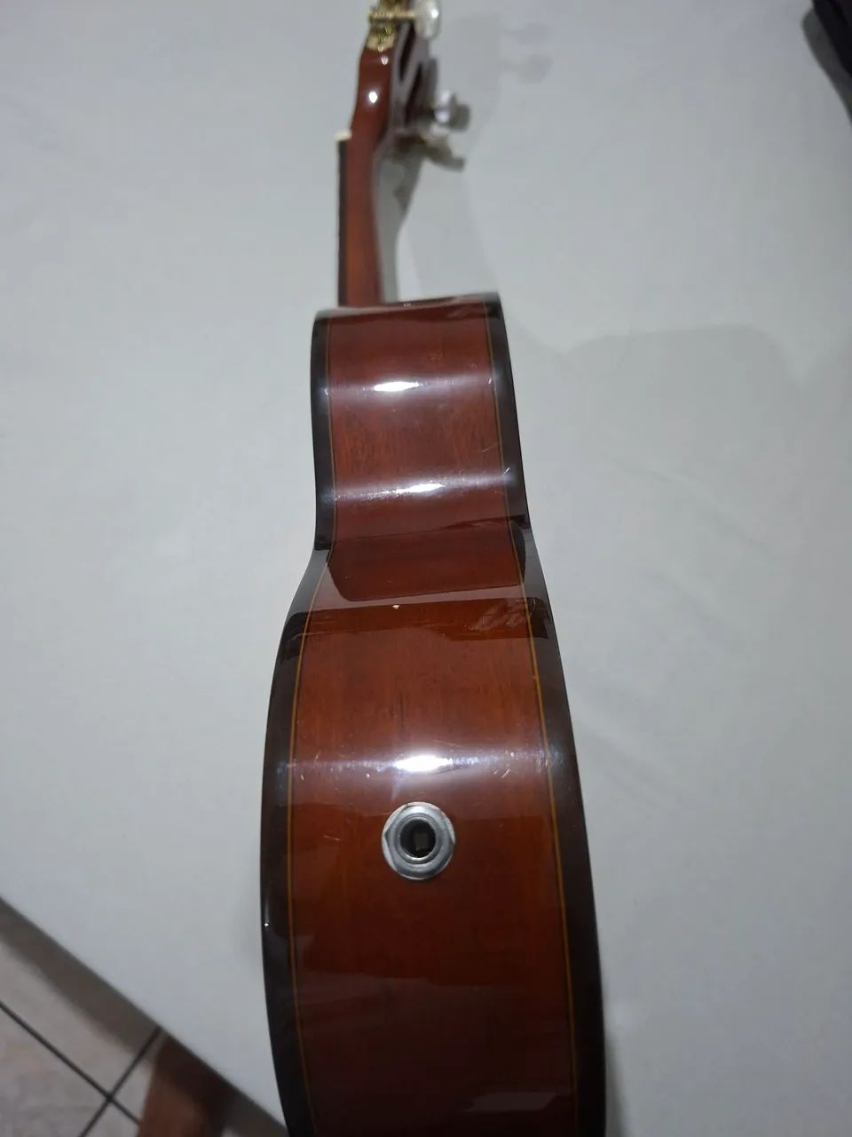 Cavaquinho Tgc01 Terra Brasil - Instrumentos musicais - Vila
