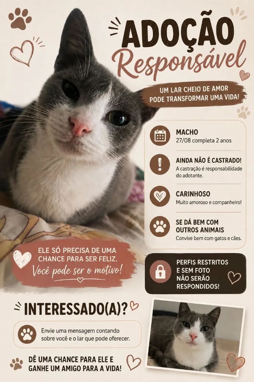 Doação de gato