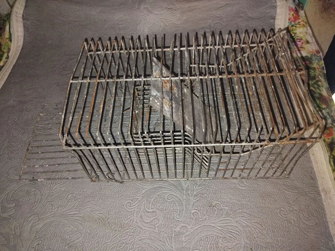 Vendo ratoeira grande