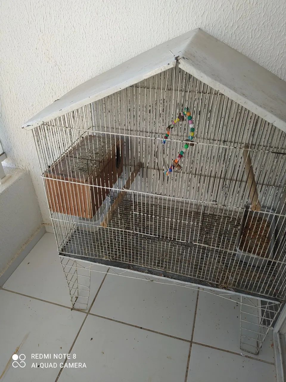 Gaiola disponível  - Foto 2