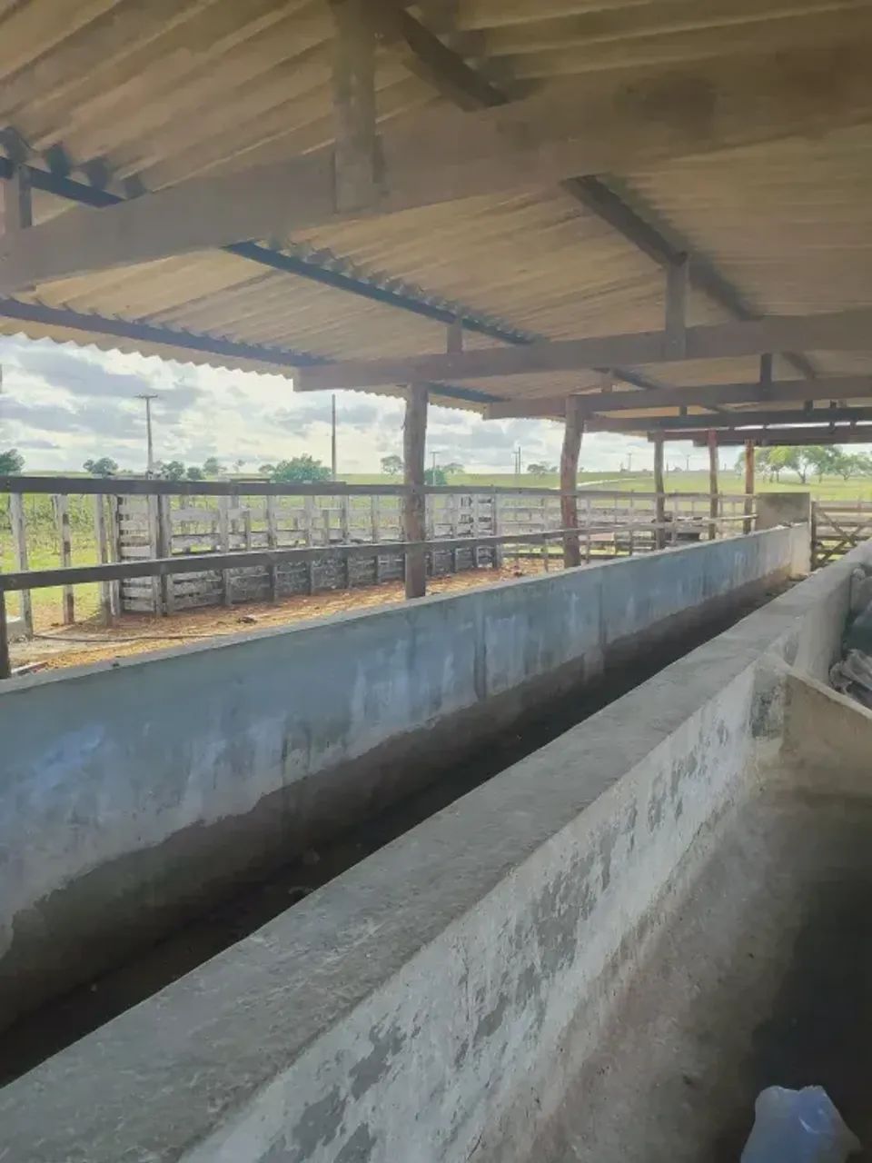 Excelente granja com 17 hectares em Monte Alegre - Foto 3