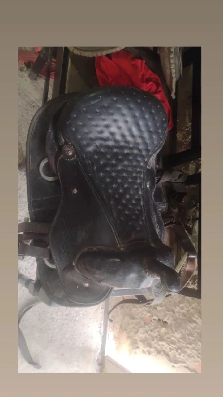 Vendo celas boa 600 as duas $ - Foto 5