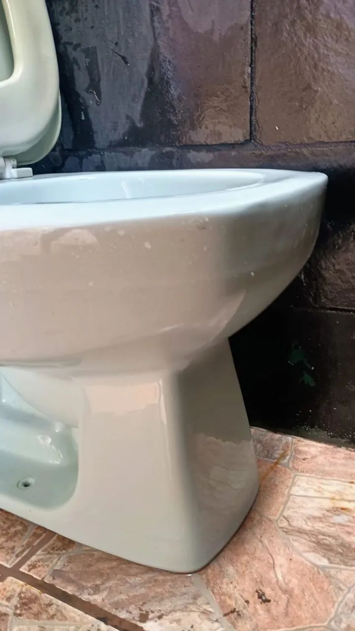 Vaso sanitário com tampa amortecedor