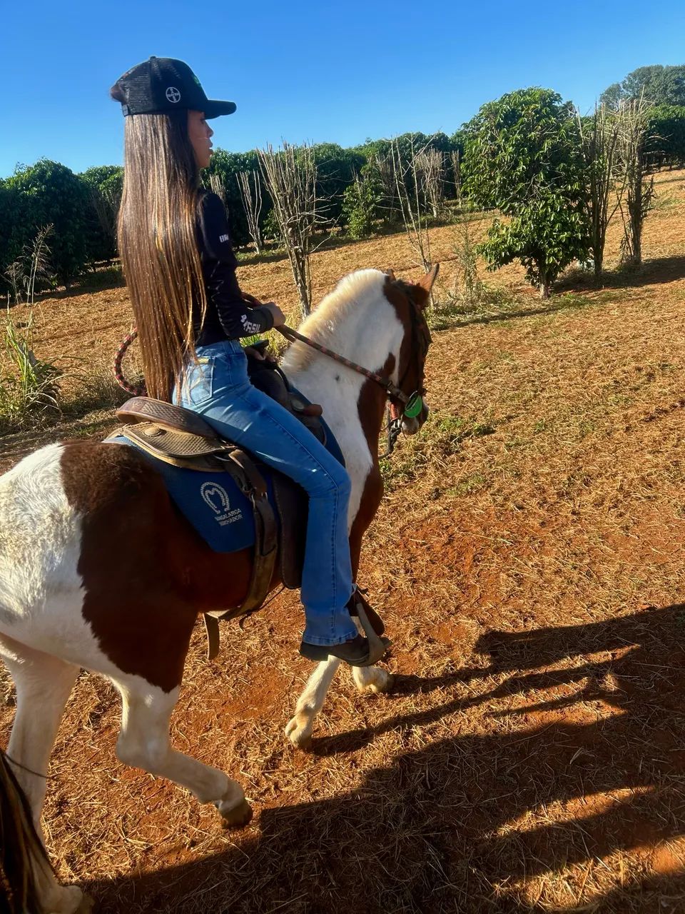 VENDE-SE égua piquira - Foto 4