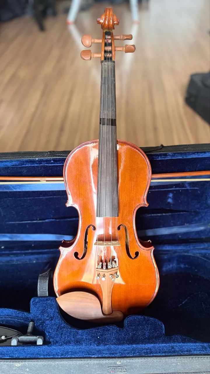 Violino Eagle Ve441 4/4 Com Case, Arco
