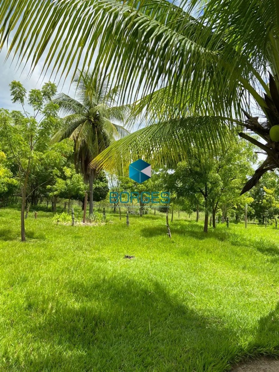 FAZENDA RURAL em ITABERABA - BA, ITABERABA - Foto 5