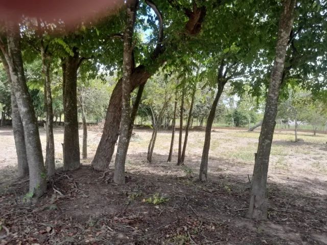 Alugo A = 2.436 m² >> Chácara das mansões - Foto 3