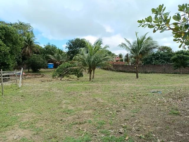 Chácaras em Satuba/AL de 3800m² a 8000m² - Foto 4
