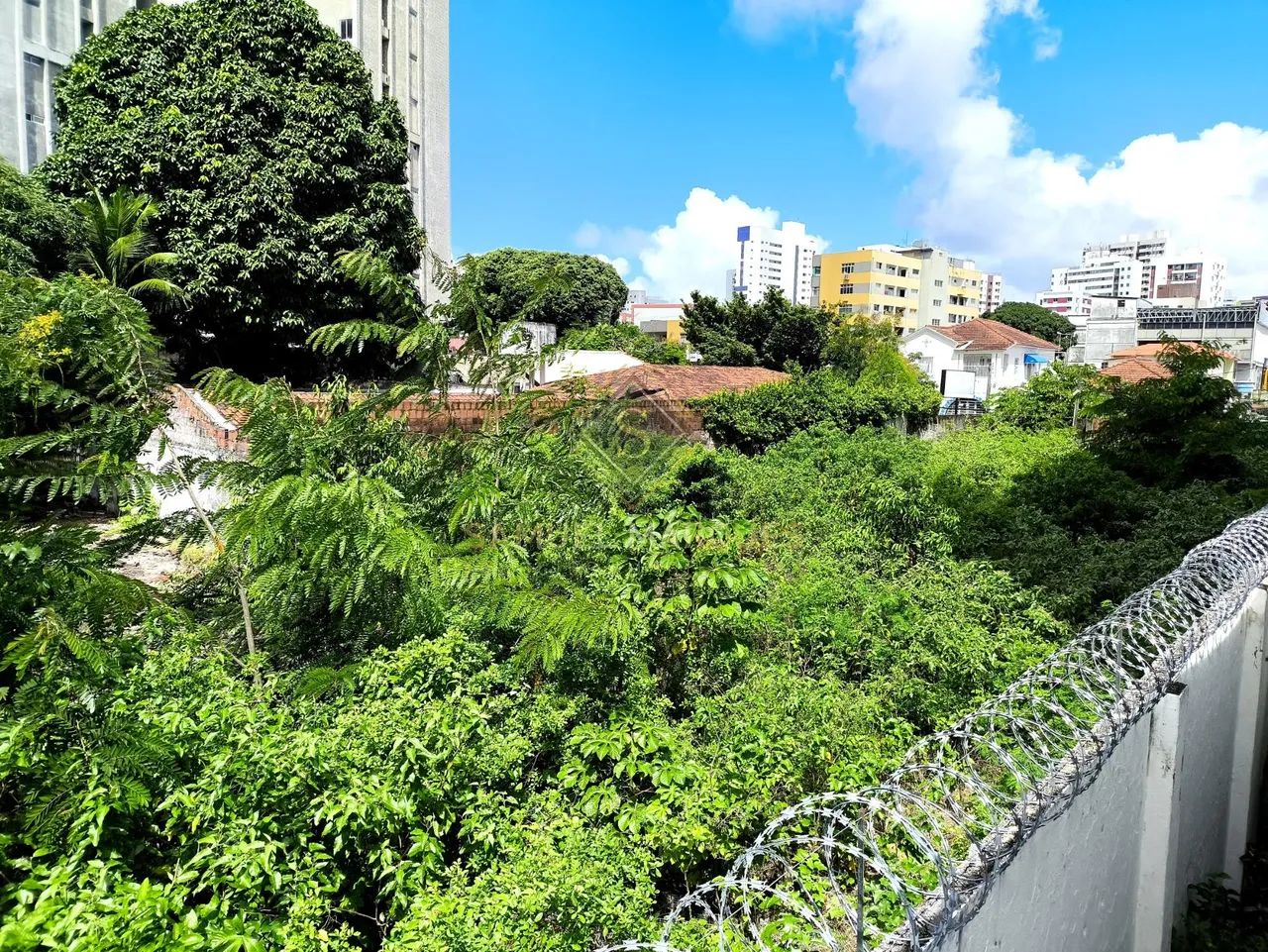 Terreno à venda em Encruzilhada - Recife - Foto 3