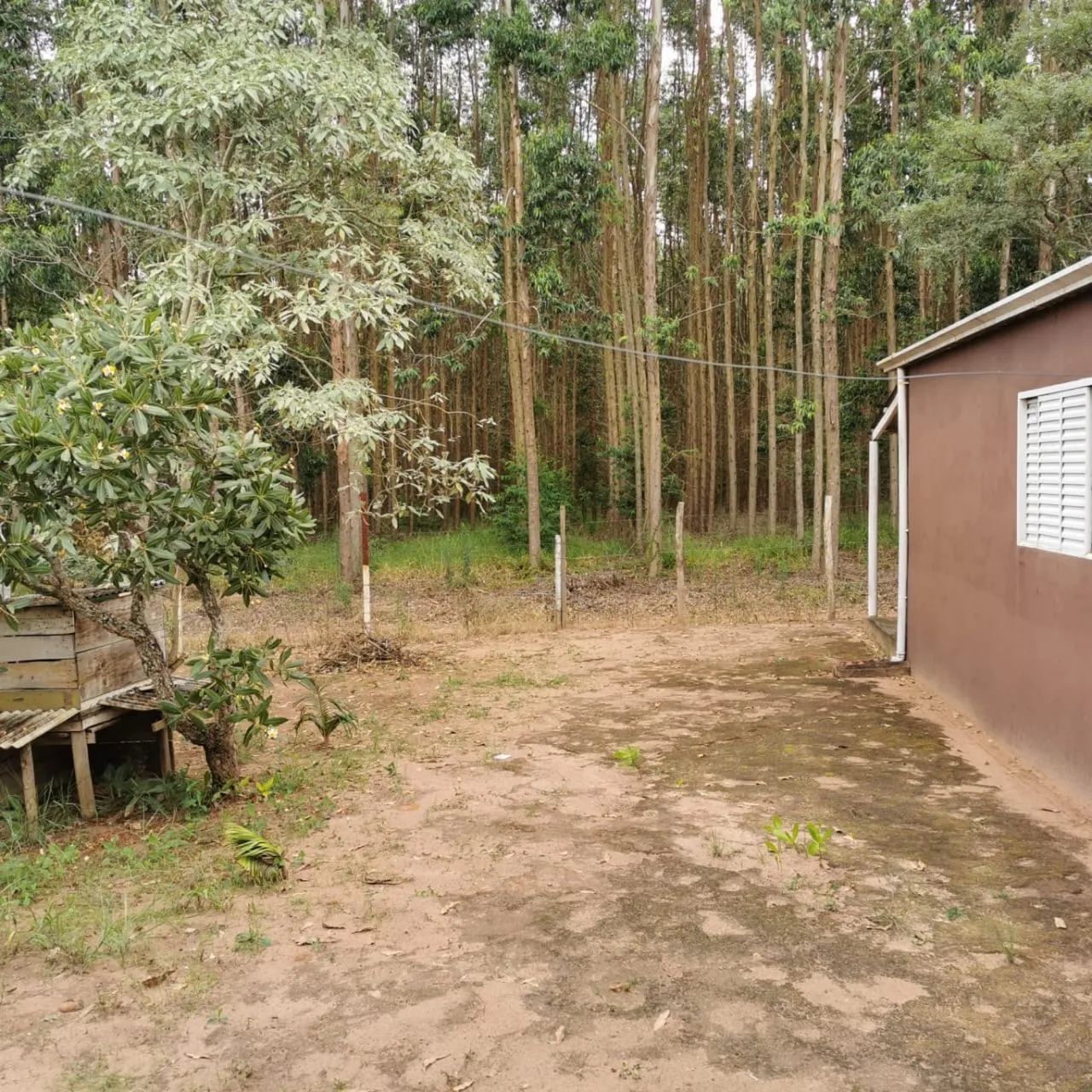 Chácara lagoa Dourada  - Foto 2