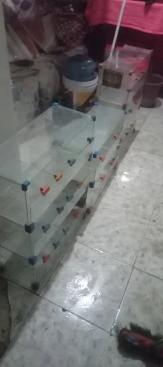 Expositores de vidro/ Bombonieres (3 unidades)