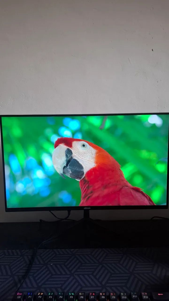 Monitor 75hz 24 polegadas 