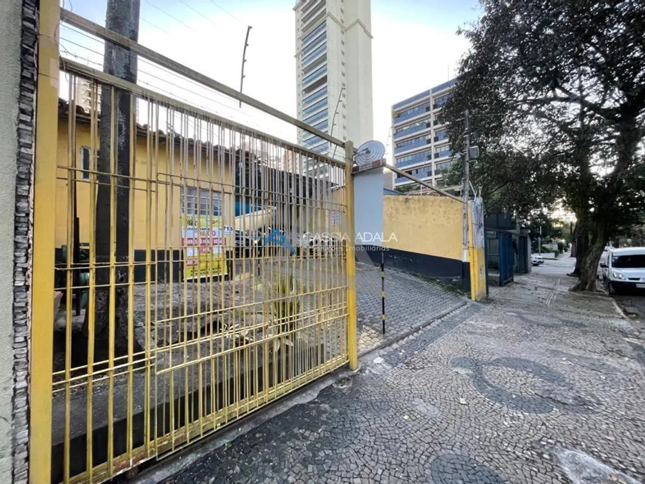 Terreno à venda em Campinas, Cambuí, com 306 m² - Foto 3