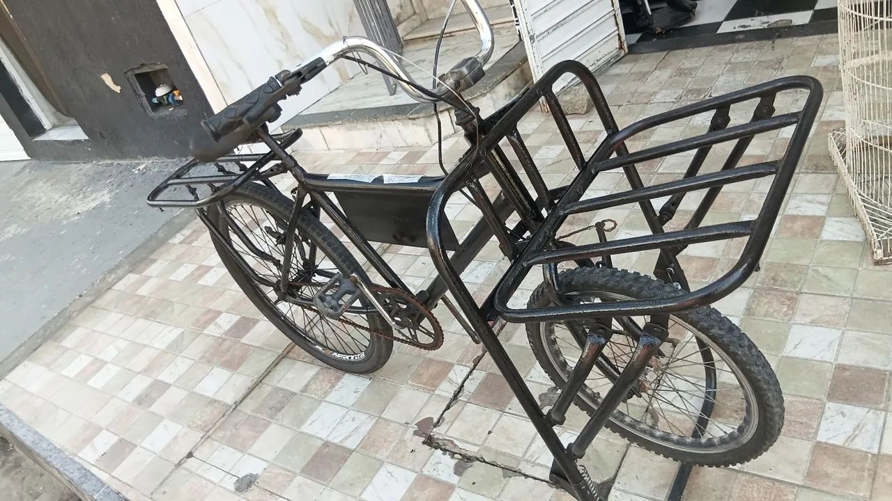 bicicleta cargueira