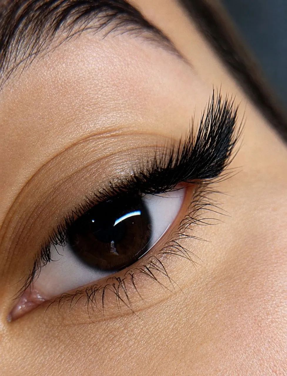 Lash designer 