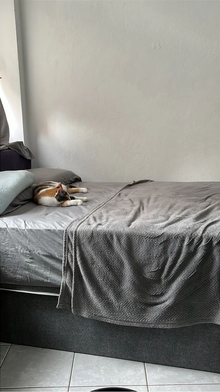 Box cama  - Foto 2