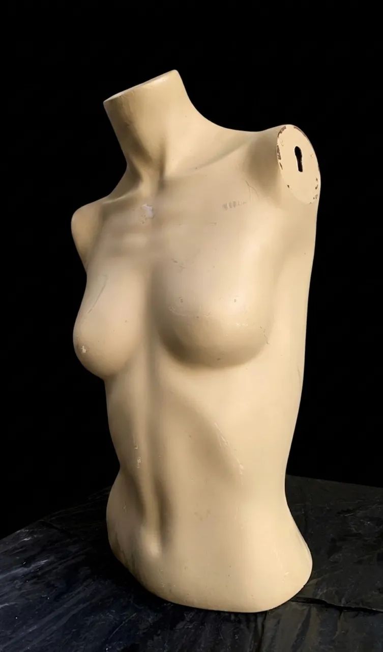 Manequim busto feminino para vitrine/exposição.