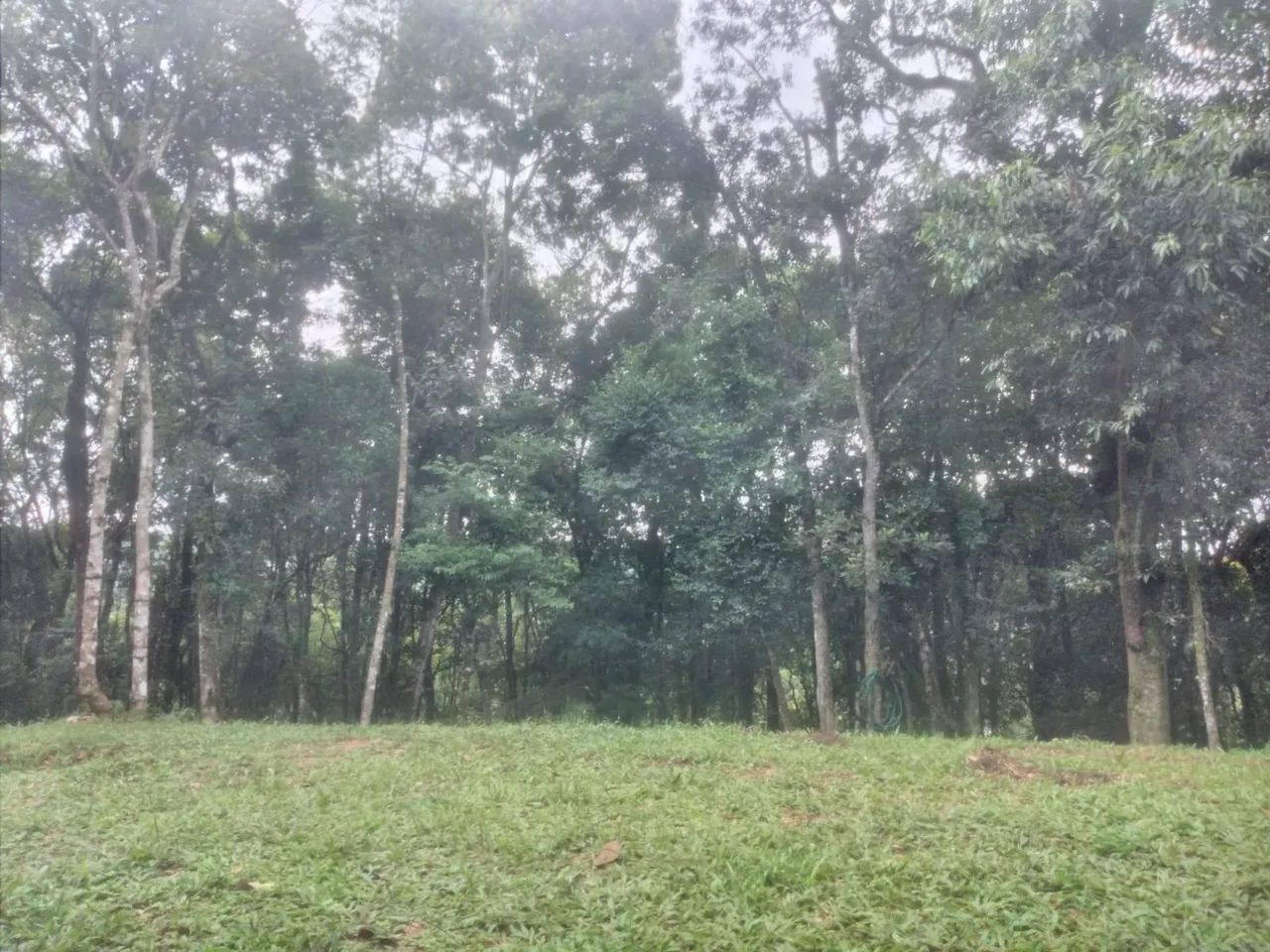 Foto - Campo Magro - 
