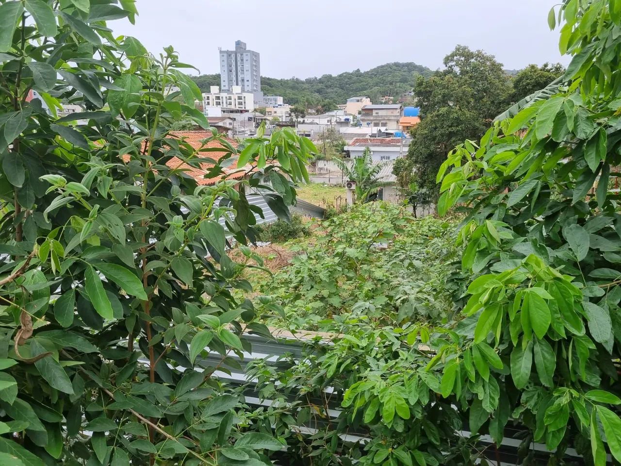 TERRENO a VENDA em CAMBORIÚ 
