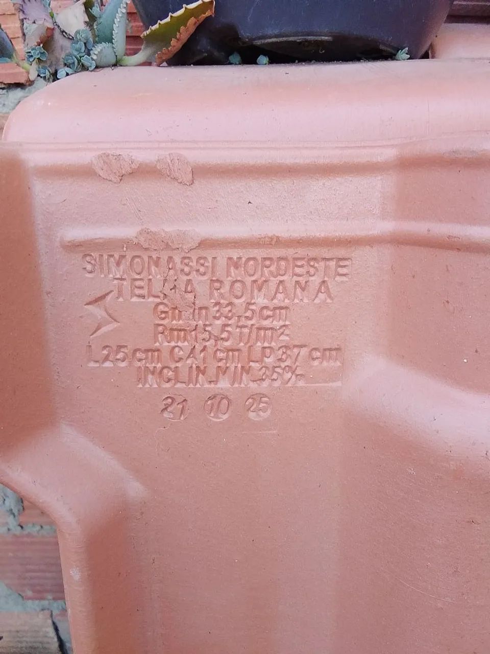 Tenhas simomassi romana  - Foto 3
