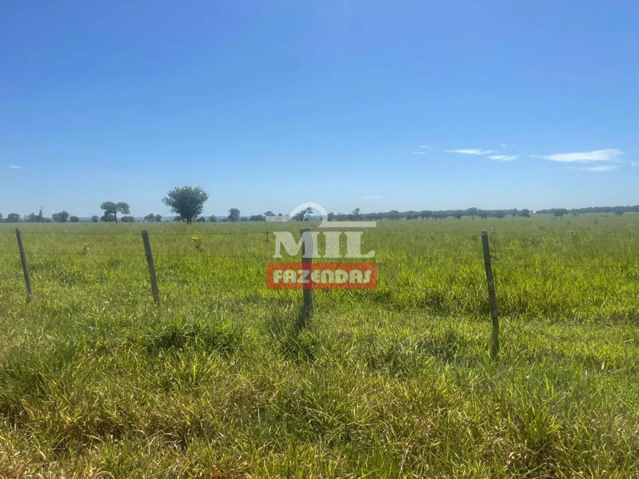 Fazenda 2.000 Hectares Nova Alvorada - MS - Foto 5