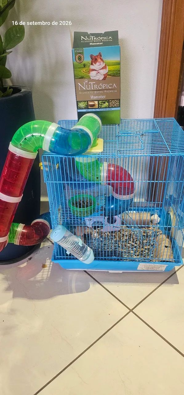 Doa-se hamster e gaiola 