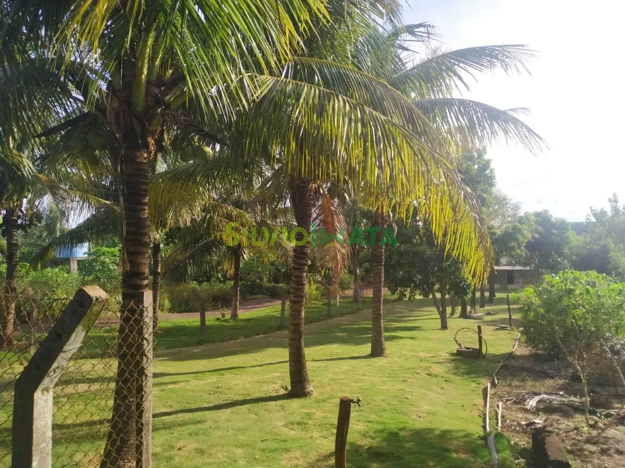 Chácara à Venda no Rio Ivaí Dr. Camargo - Foto 2