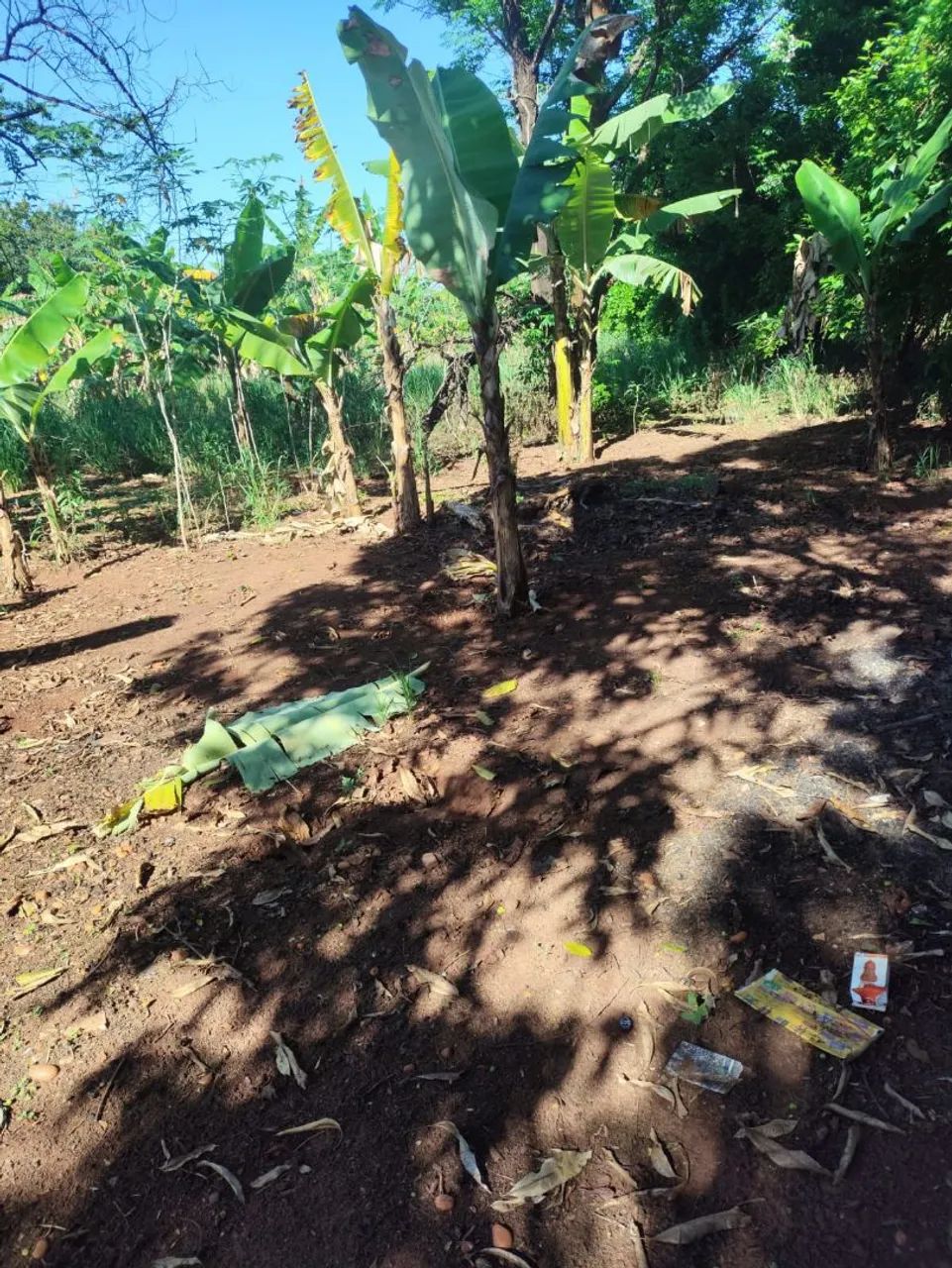Vende se ou troca sítio  - Foto 5